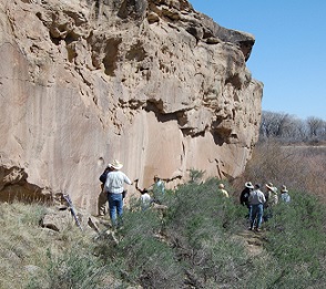 Newsletter Image